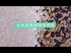 Sorting Discolor Rice