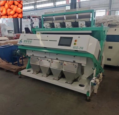 CCD Camera Rice Color Sorter Machinefabriek voor het pellen van pinda's
